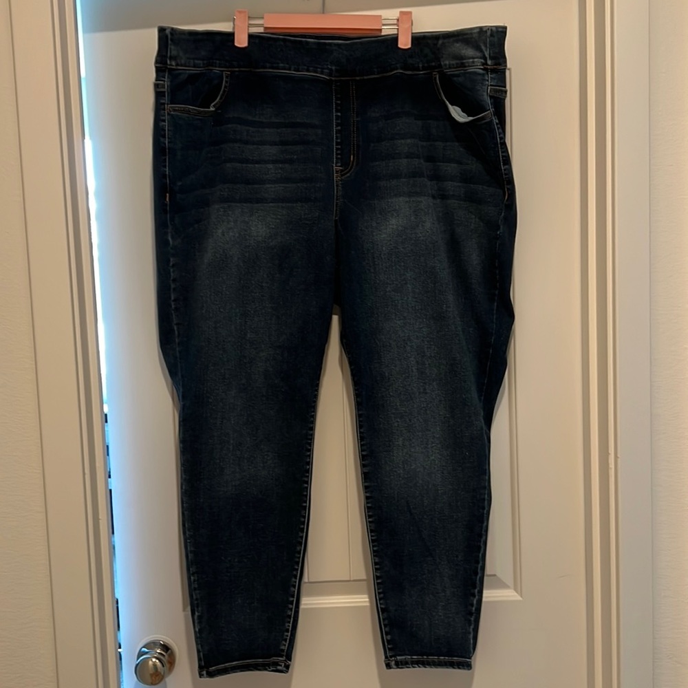 Lane Bryant flex magic waistband high rise jegging.
